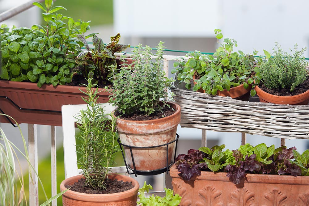 Balkongarten