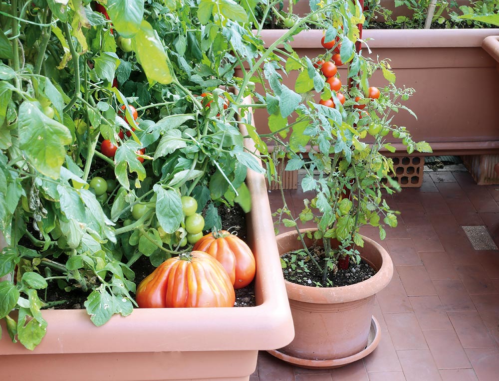 Balkongarten