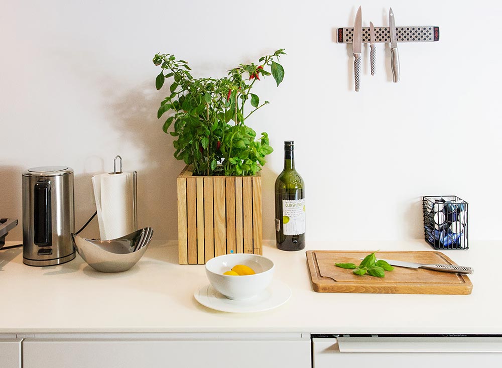 Kräuter in der Wohnung 