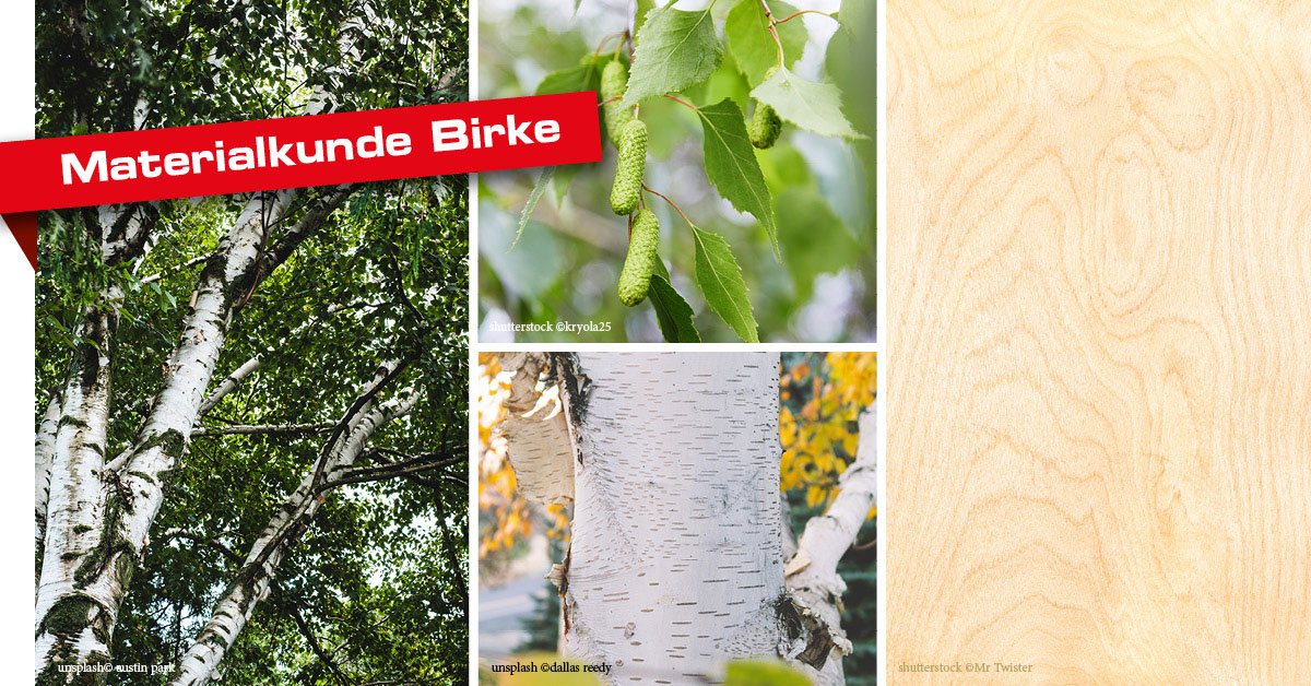 Birke Birkenholz Material Holz Faustmann