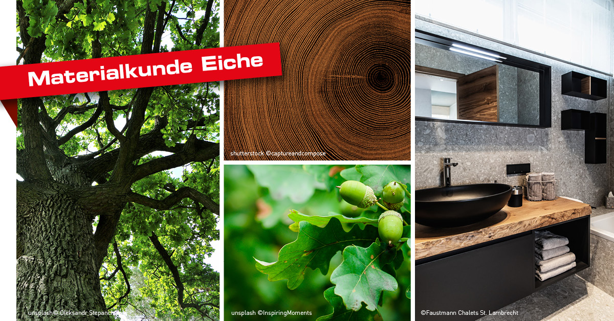 Materialkunde Eiche: Die Eigenschaften von Eichenholz